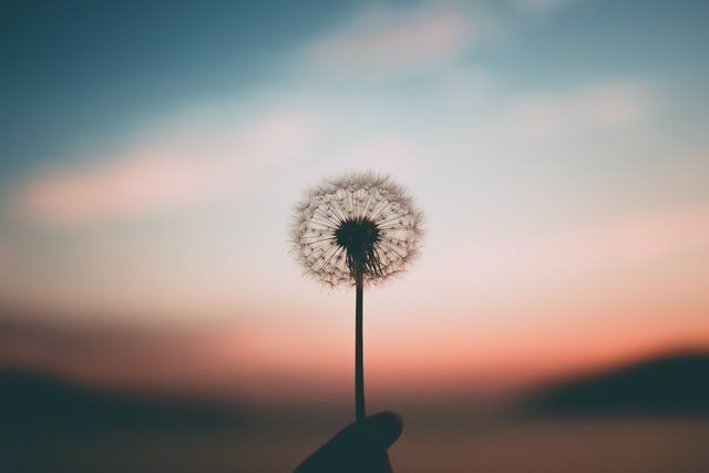 cremation services in Van Nuys CA