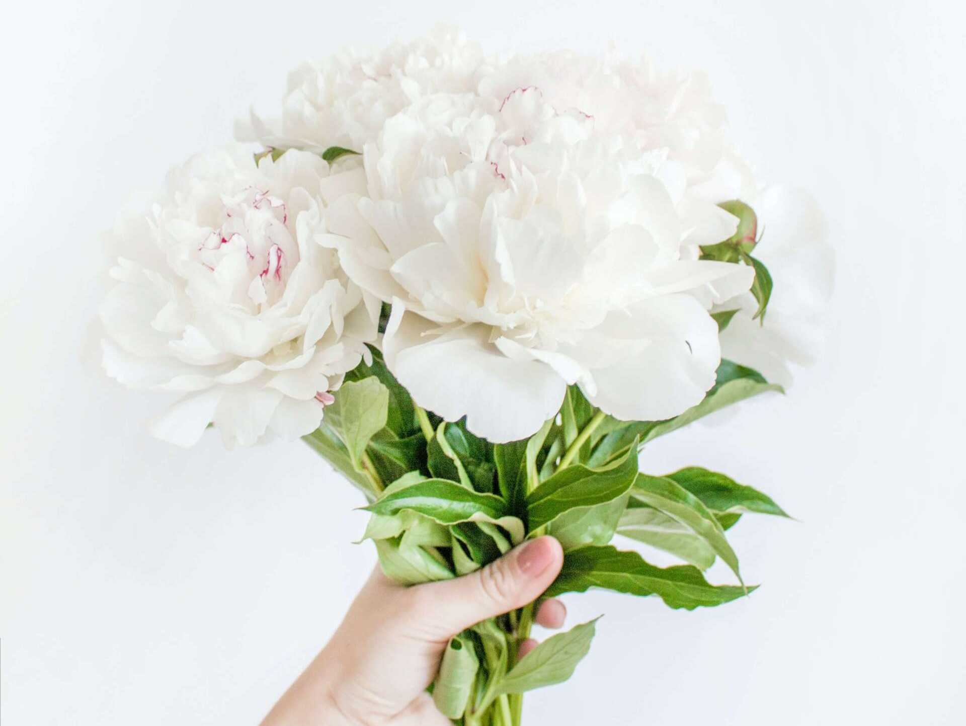 What to Do at a Funeral
