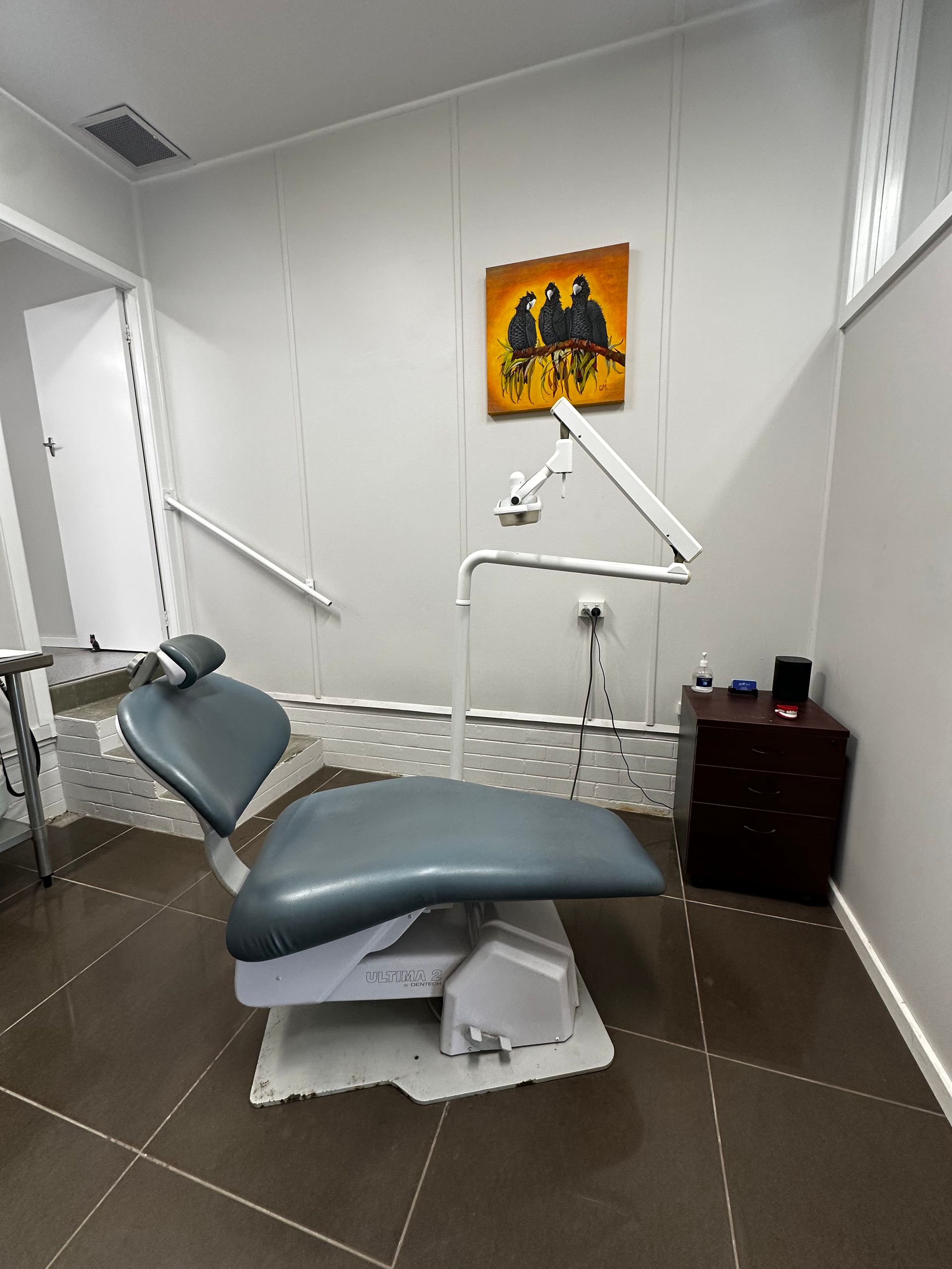 A Person Wearing Blue Gloves is Examining a Model of Teeth — ProCare Dental Australia in East Maitland, NSW
