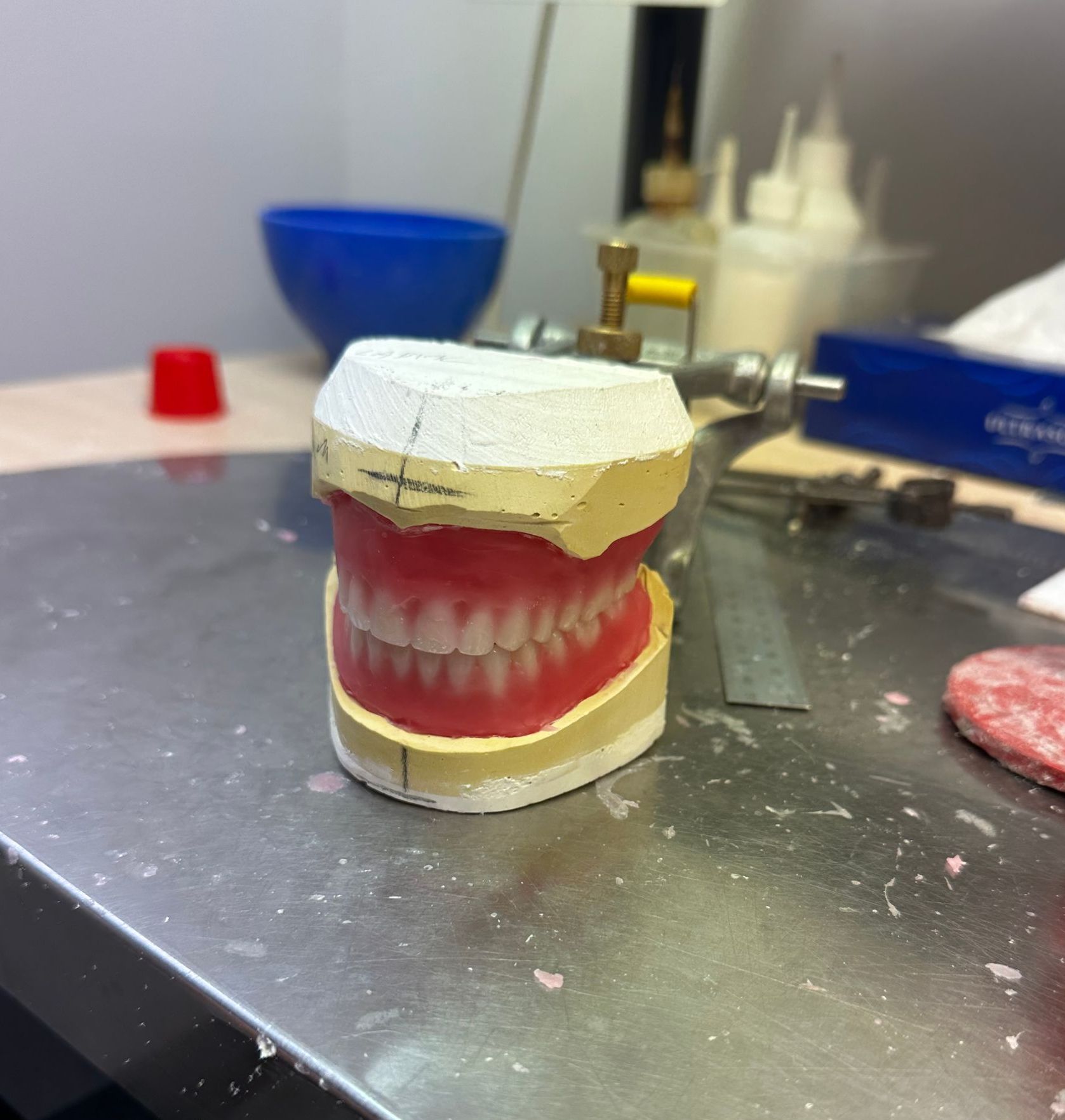 A Dentist is Holding a Denture in His Hand — ProCare Dental Australia in East Maitland, NSW