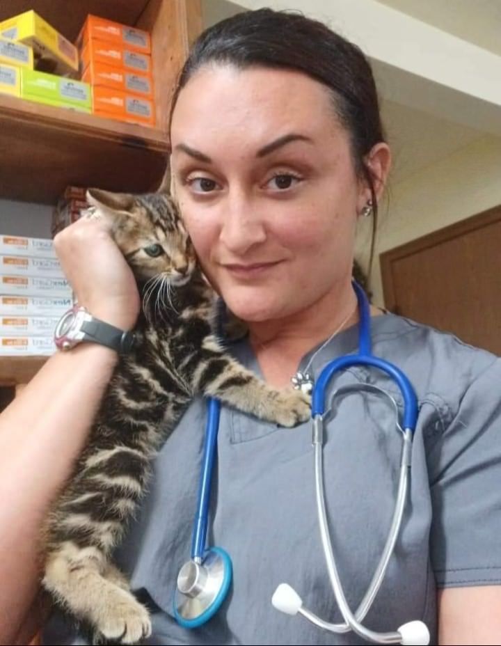A woman with a stethoscope around her neck is holding a kitten