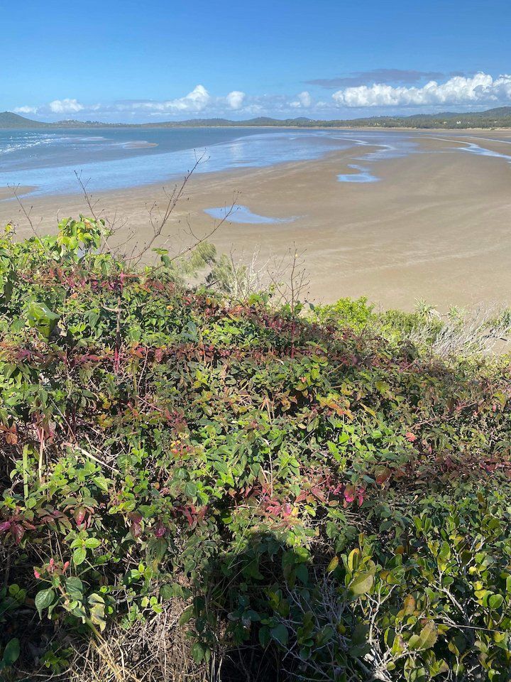 Weed Spraying in Large Acreage — Barry’s Weed Spraying in Moongan, QLD