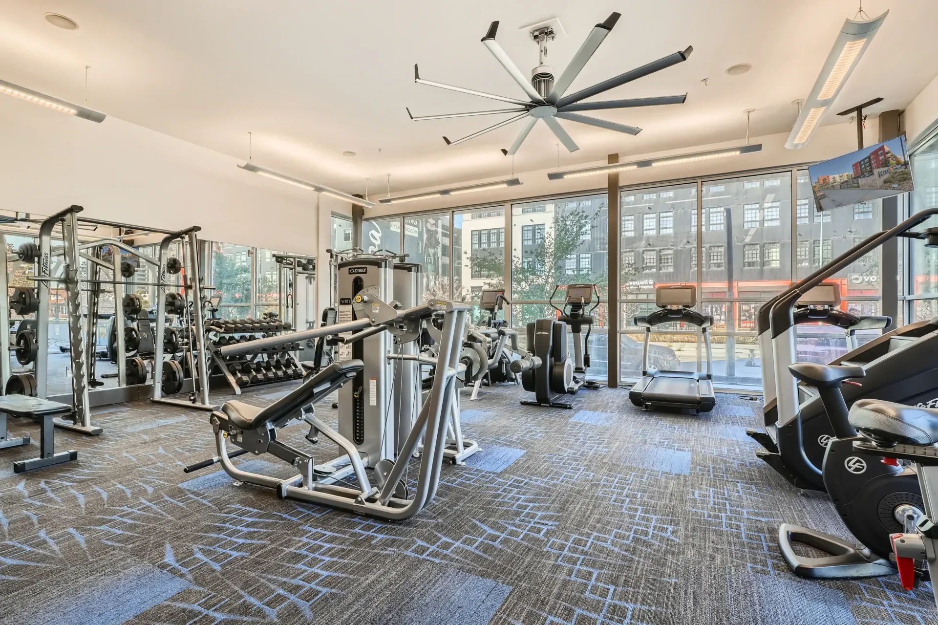 Bright gym with cardio machines, weight racks, and large windows.