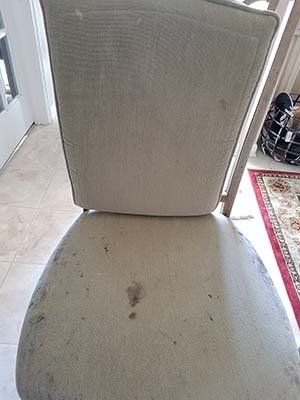 Upholstery Cleaning Gallery