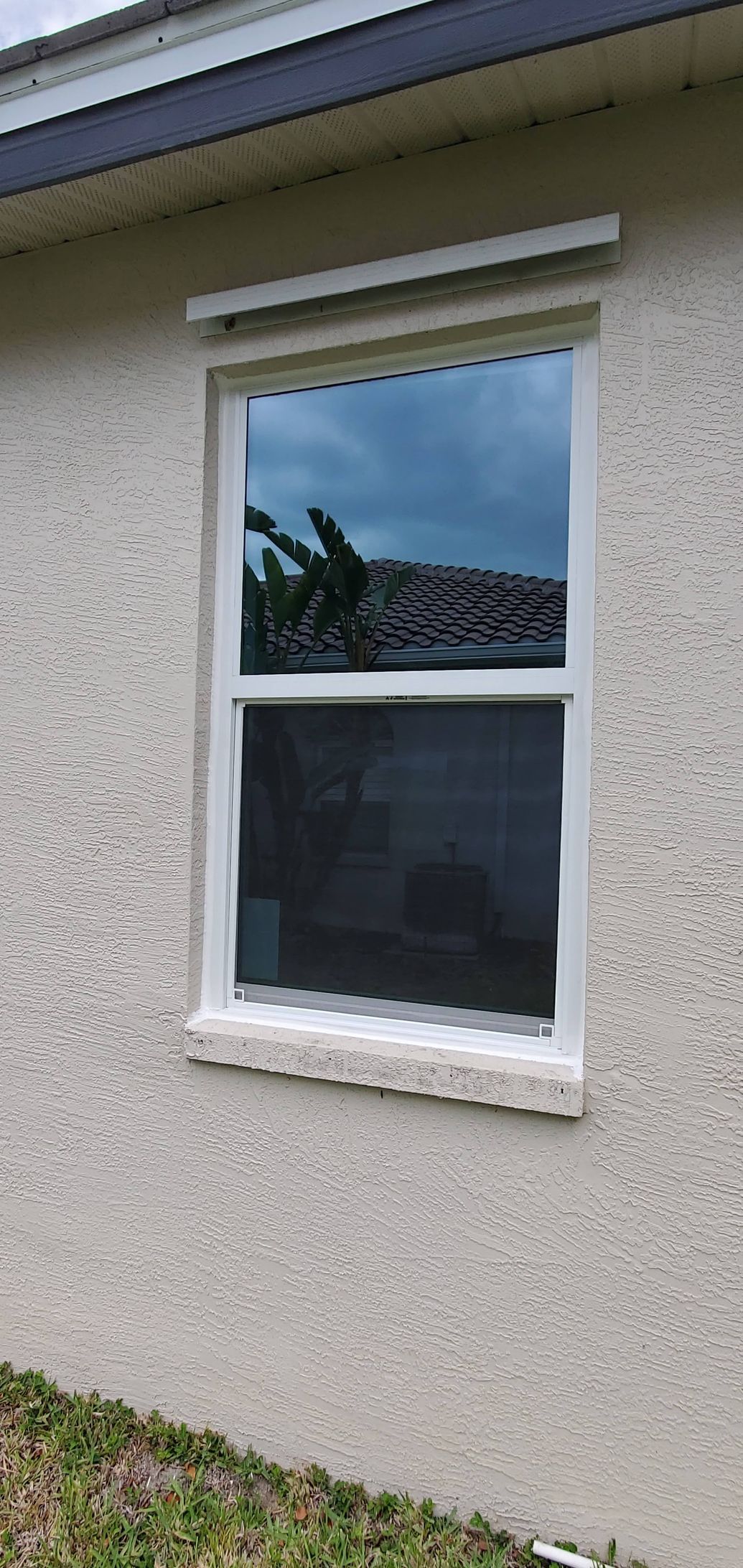 White-framed window on a stucco wall. Reflects trees, sky, and the top of a building.