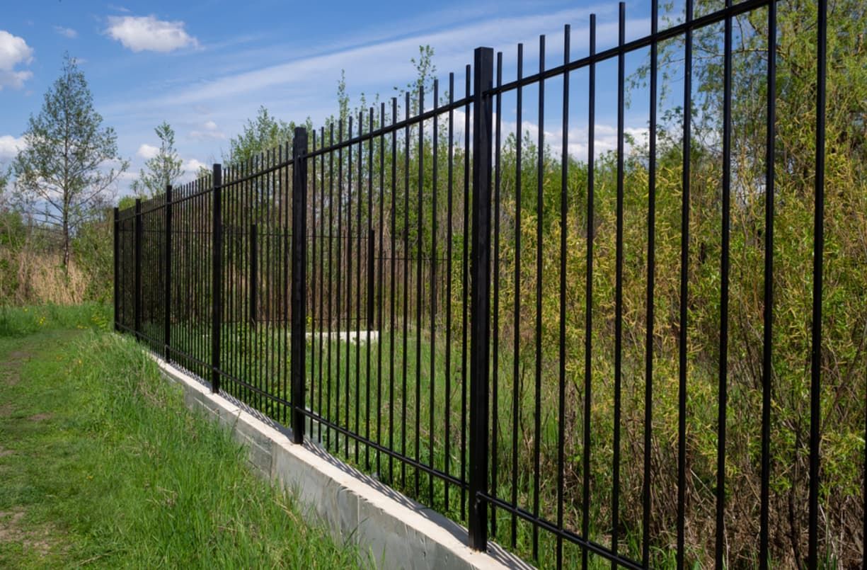 A Black Metal Fence Surrounds A Grassy Field — Rockhampton Powdercoating & Fence Panels in Park Avenue, QLD
