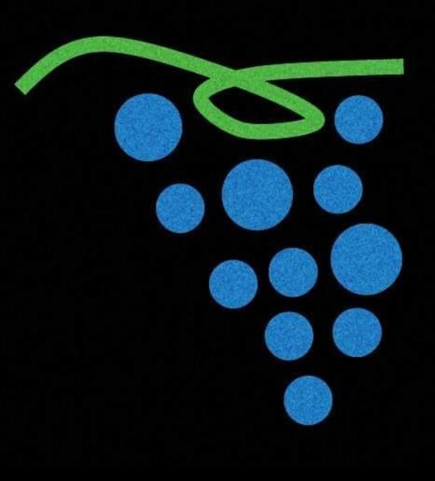 Wine Knot logo