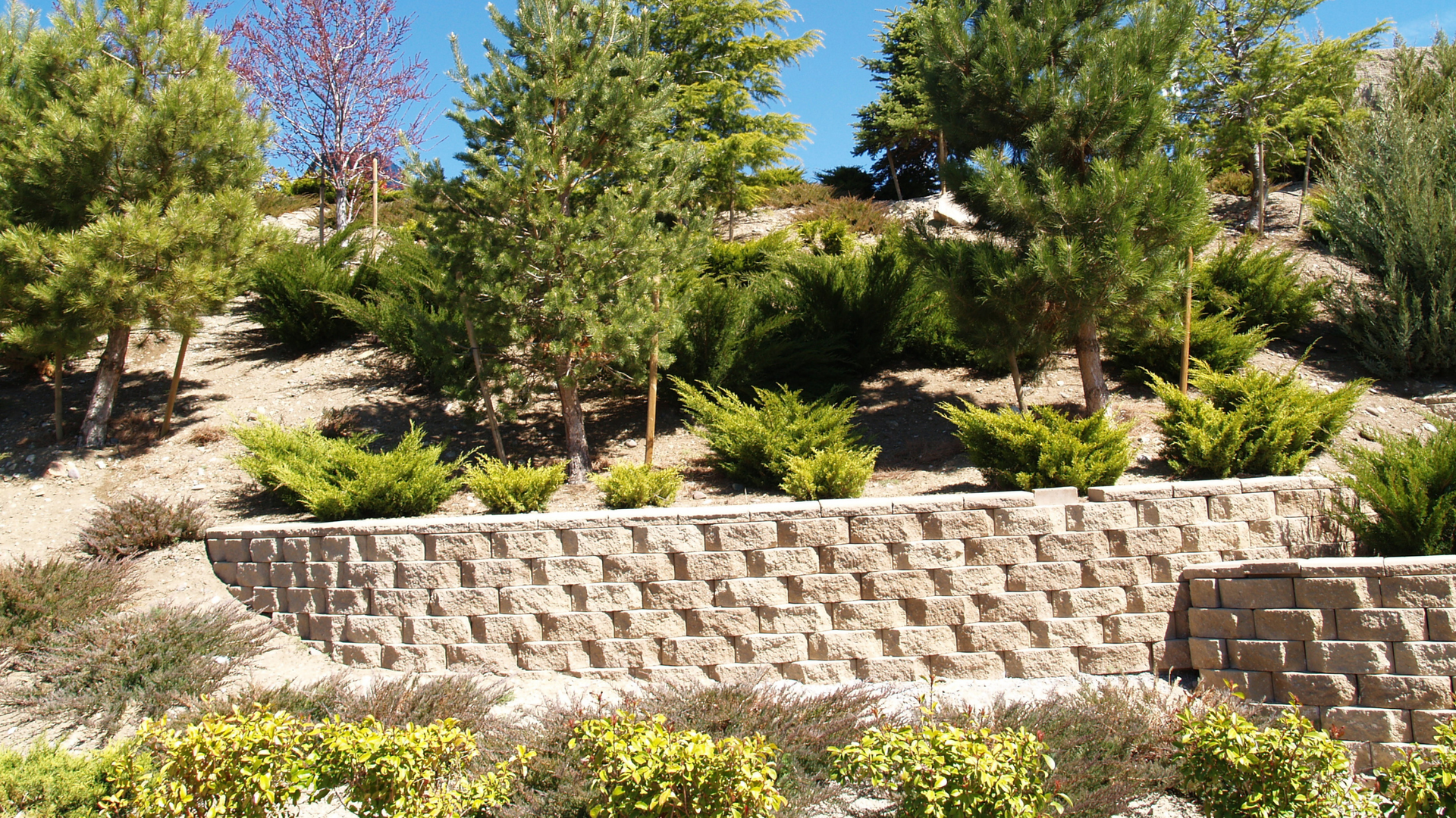 A stone wall surrounded by trees and bushes in a park