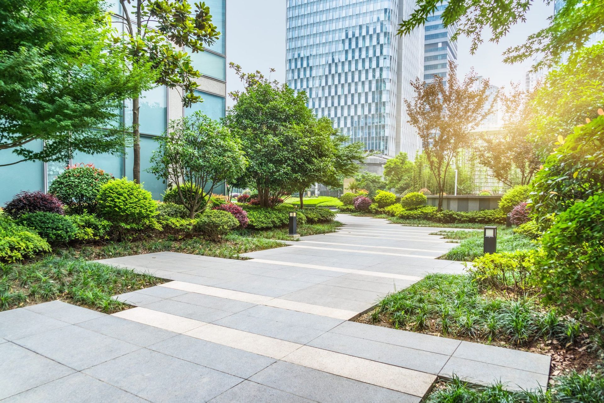 A lush green park with trees and bushes in front of a tall building.