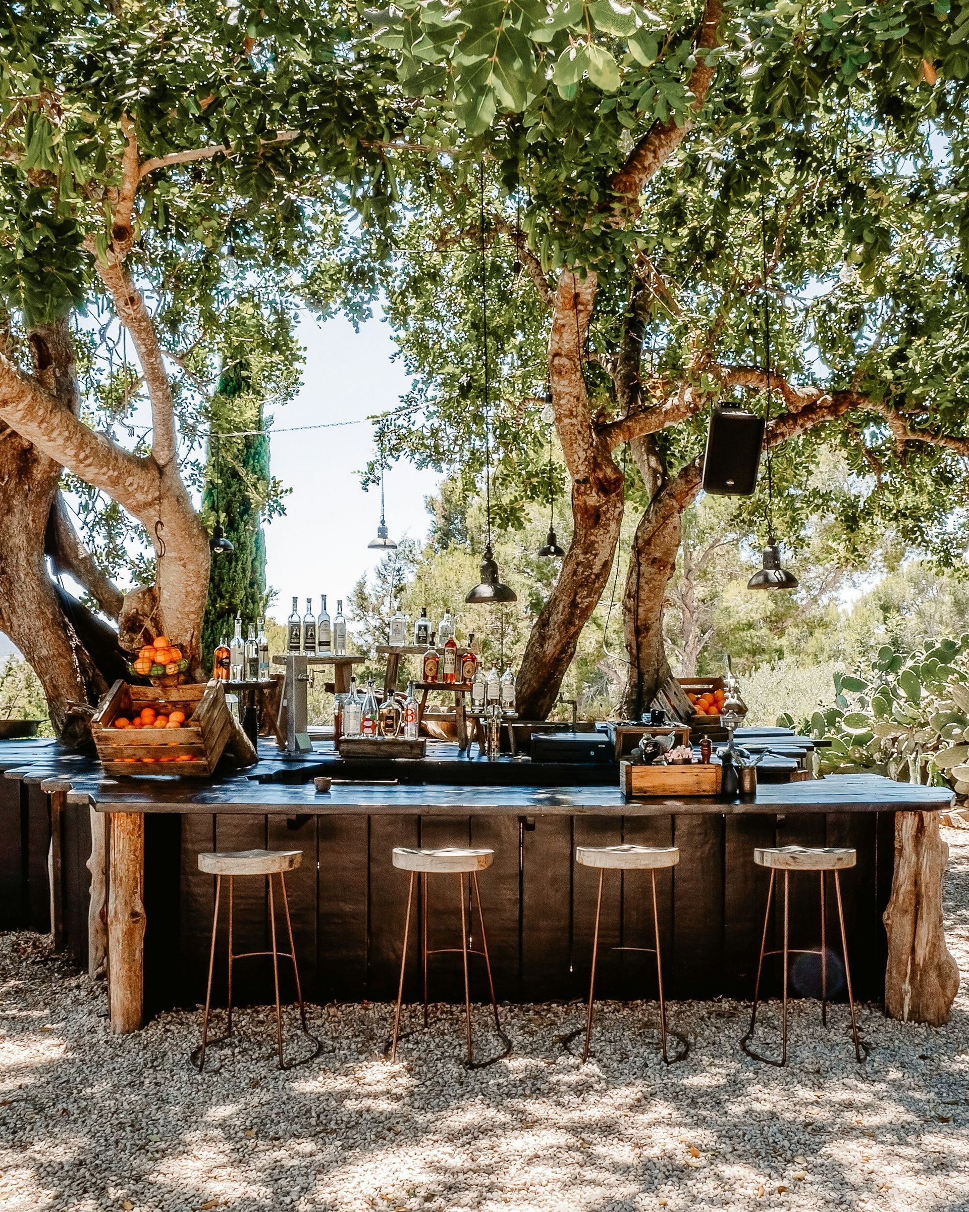 A wooden bar with stools under a tree.