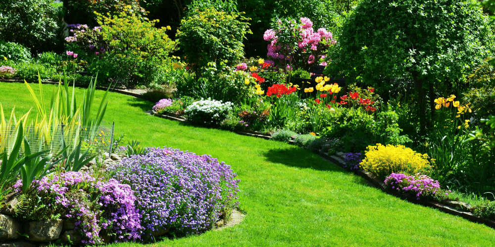 There are many different types of flowers in the garden.