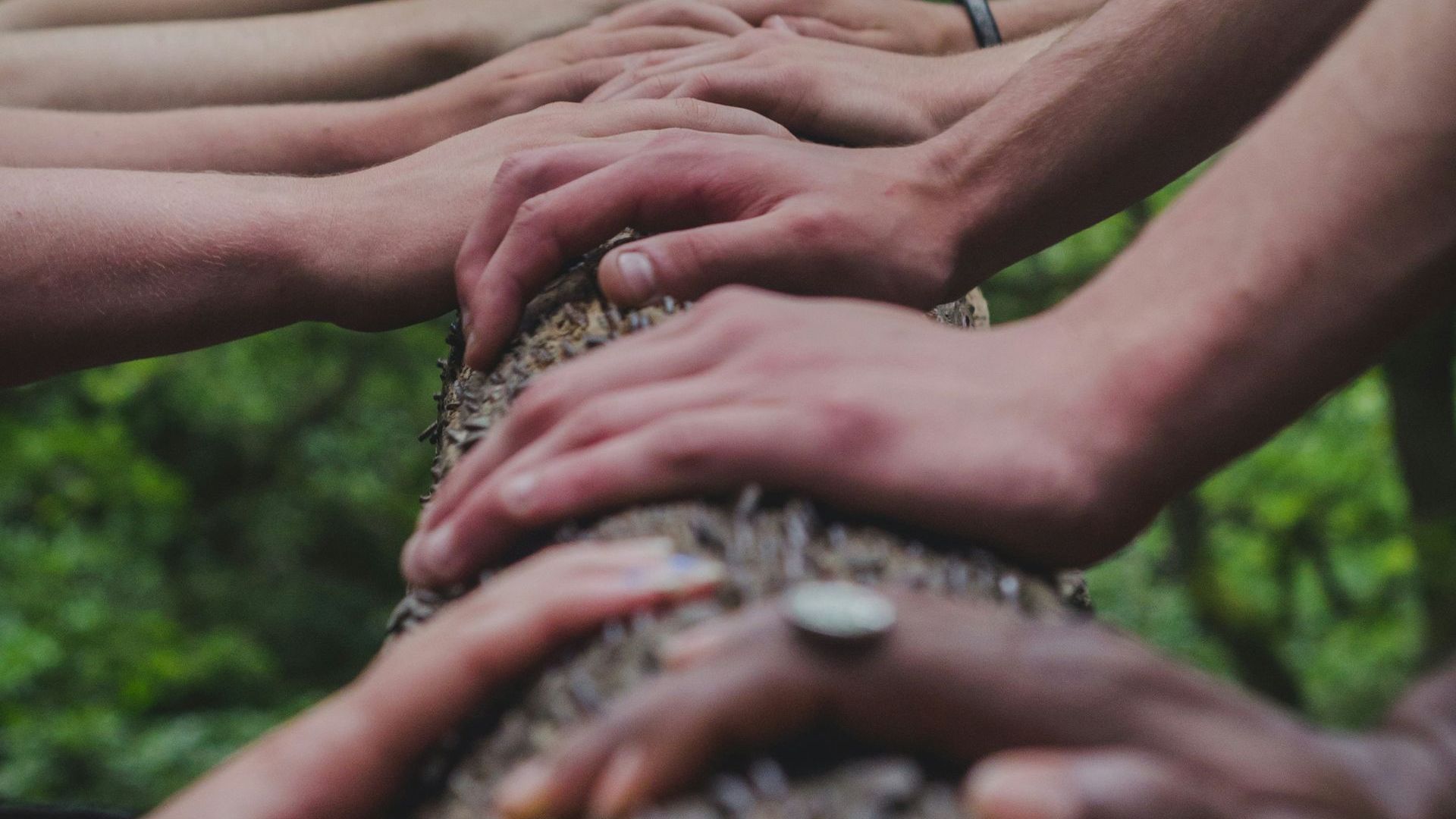 Hands of various skin tones on a wooden log, demonstrating unity and teamwork.