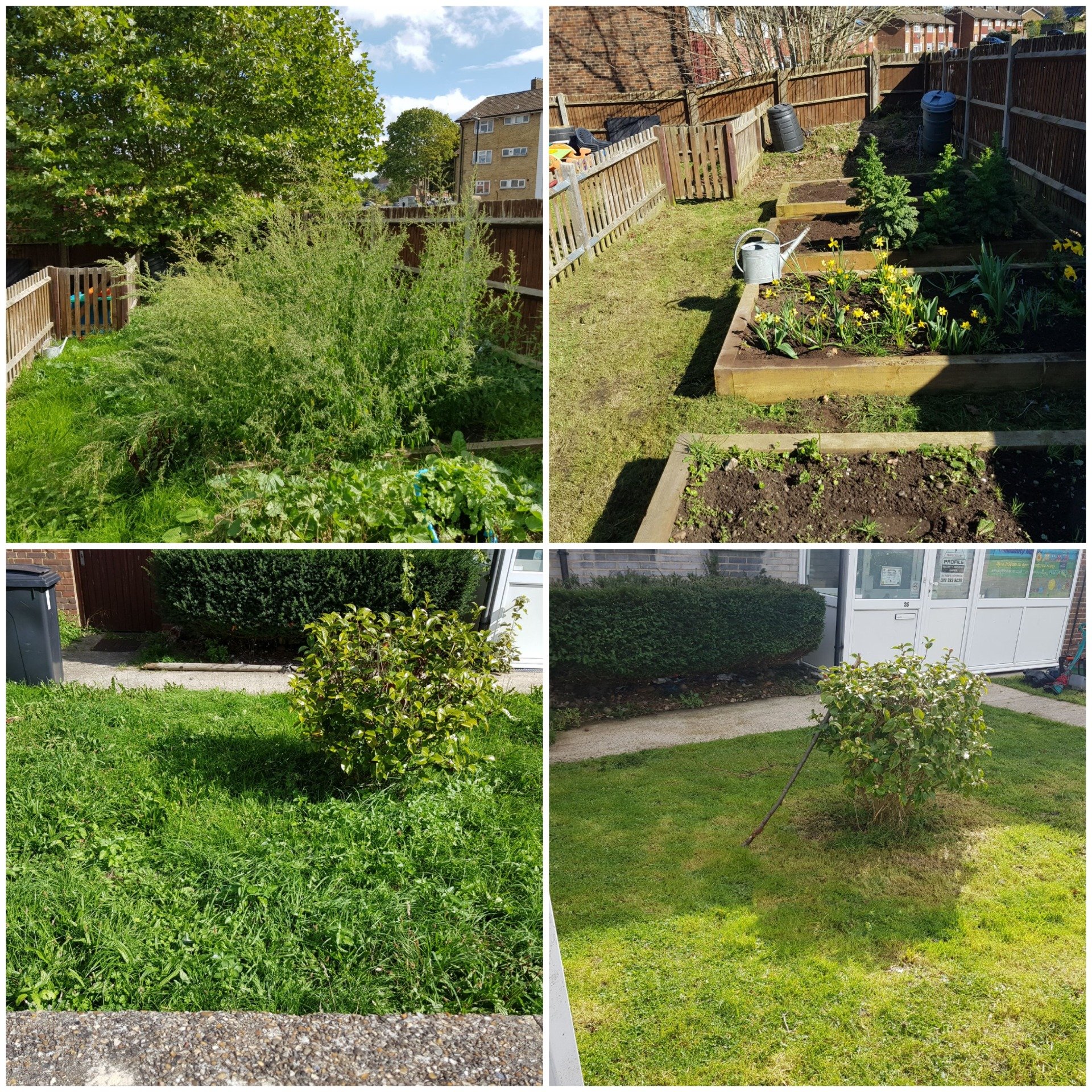 Garden Clean Ups