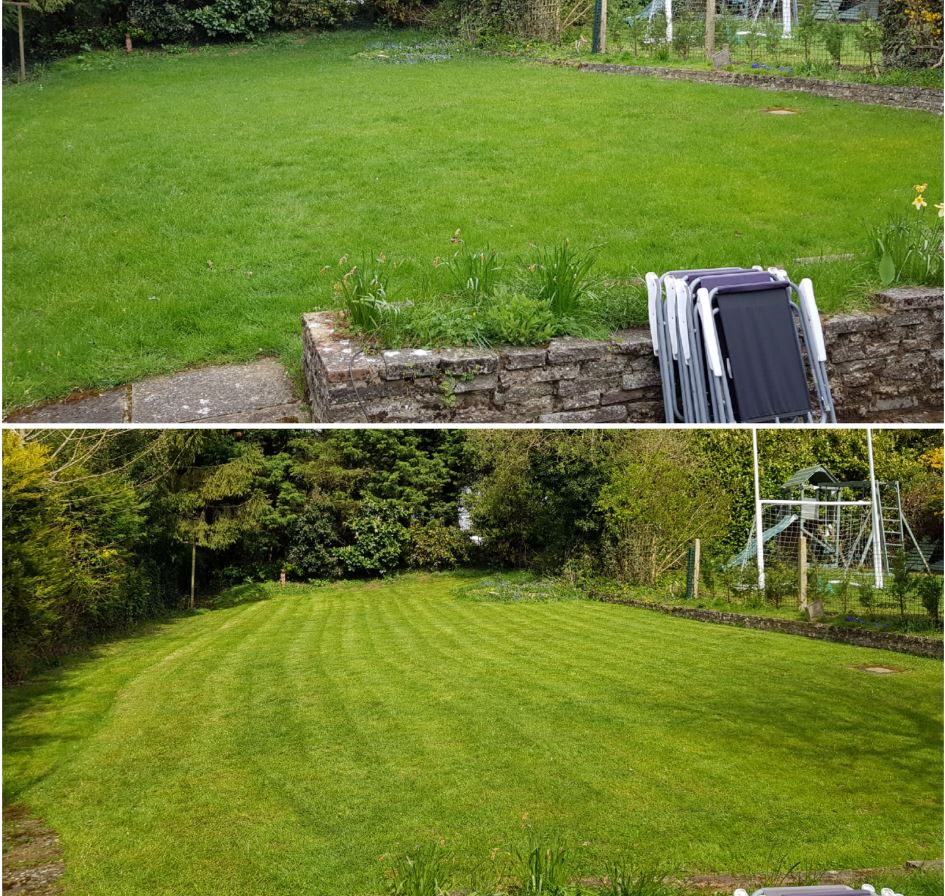 examples of gardening work