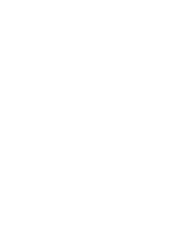 pink pineapple logo