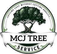 a logo for a MCJ tree service with a tree in the middle of a circle