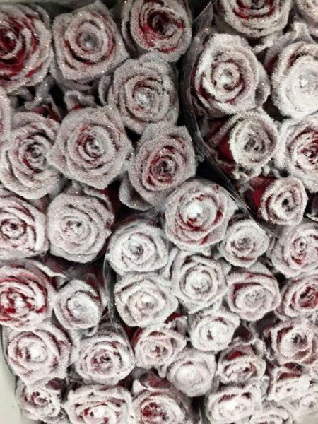 Rose bianche e viola