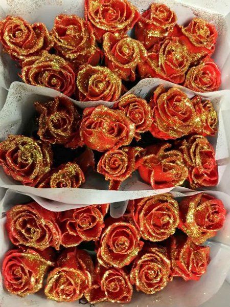 Rose bianche e rosse