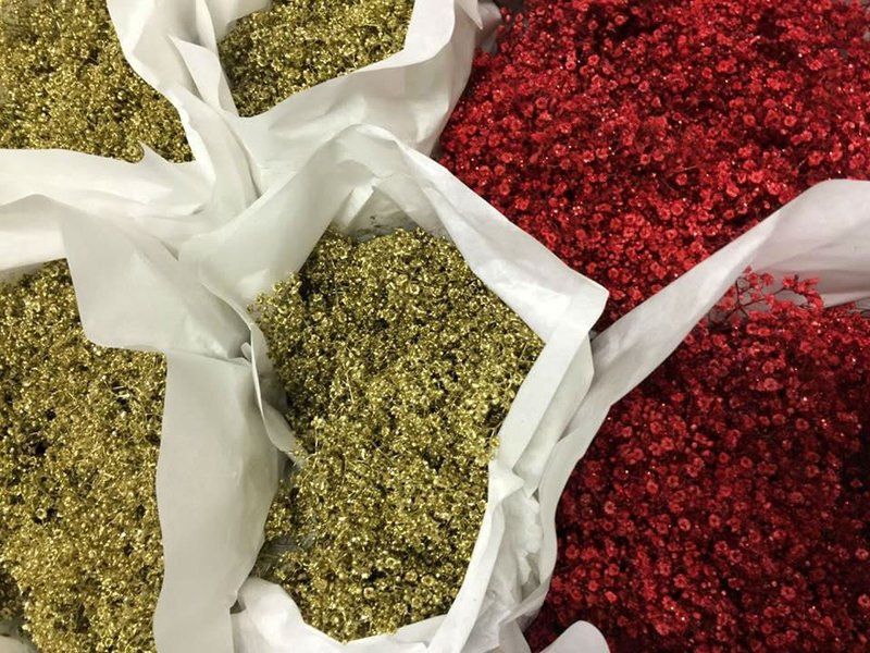 Semi e concime per fiori