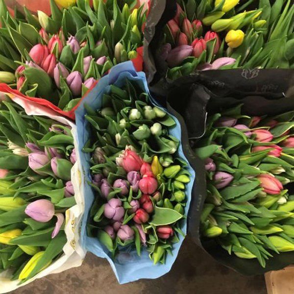 Mazzi con fiori freschi e di stagione