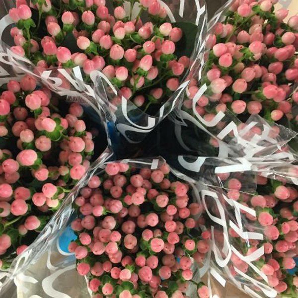 Mazzi di fiori freschi