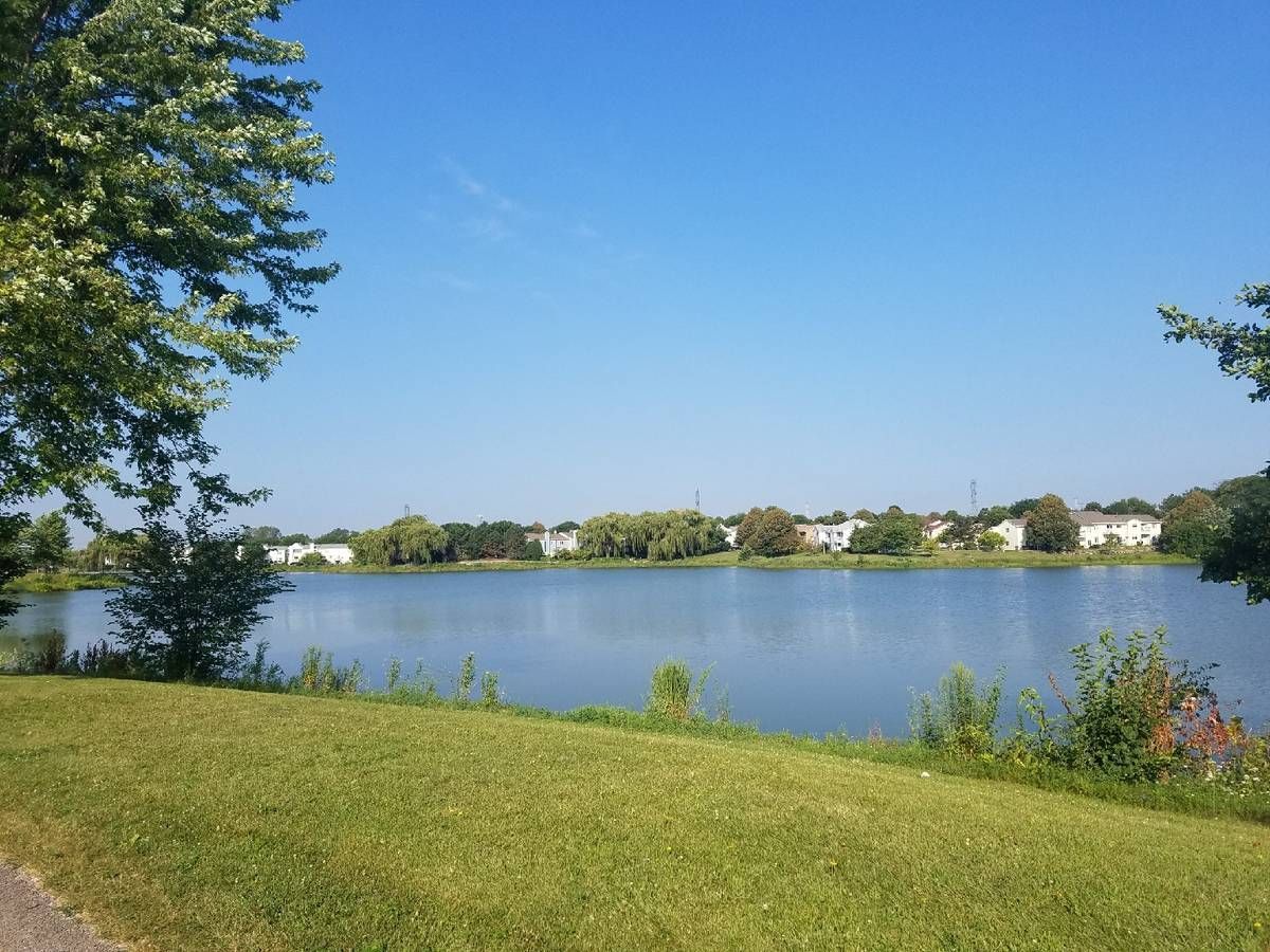 a lake surrounded by grass and trees on a sunny day