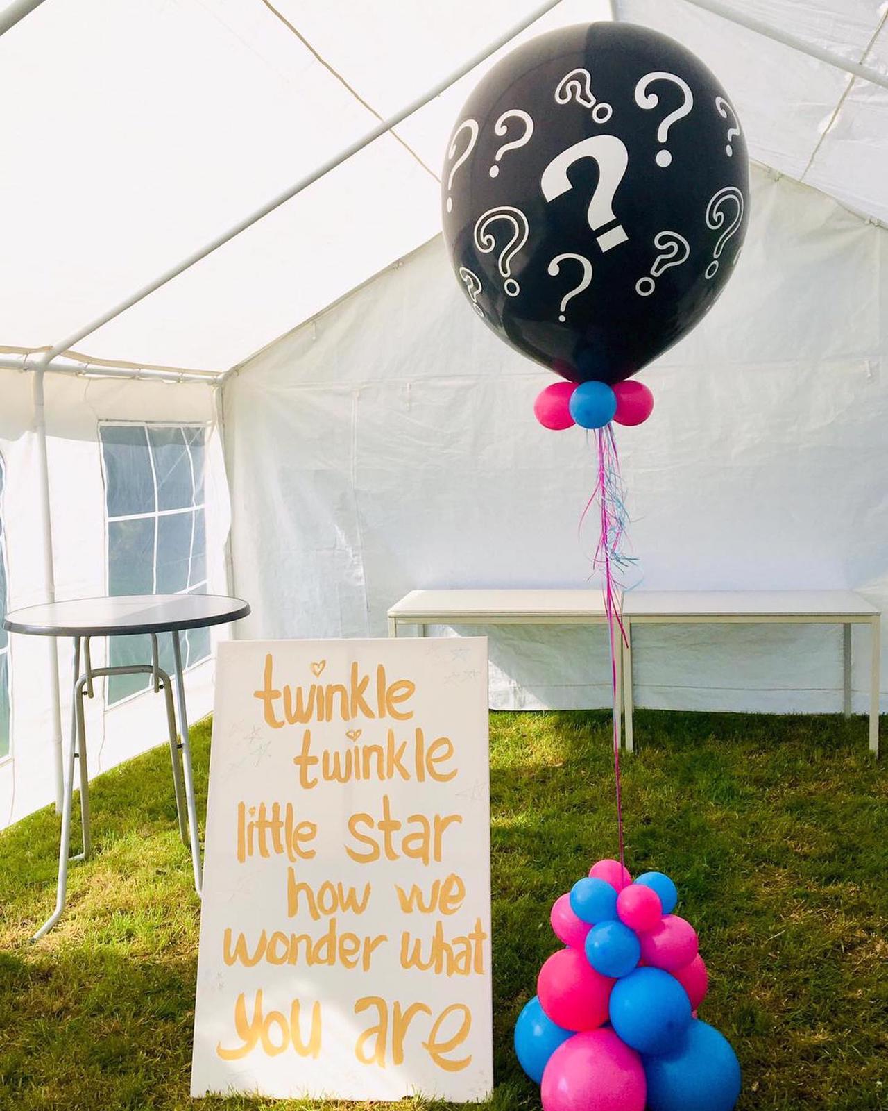 Springkussen, feest, stormbaan, Hof van twente, Bounce, Goor, Ballon, Ballon, Bruiloft,  fun, Skydancer,