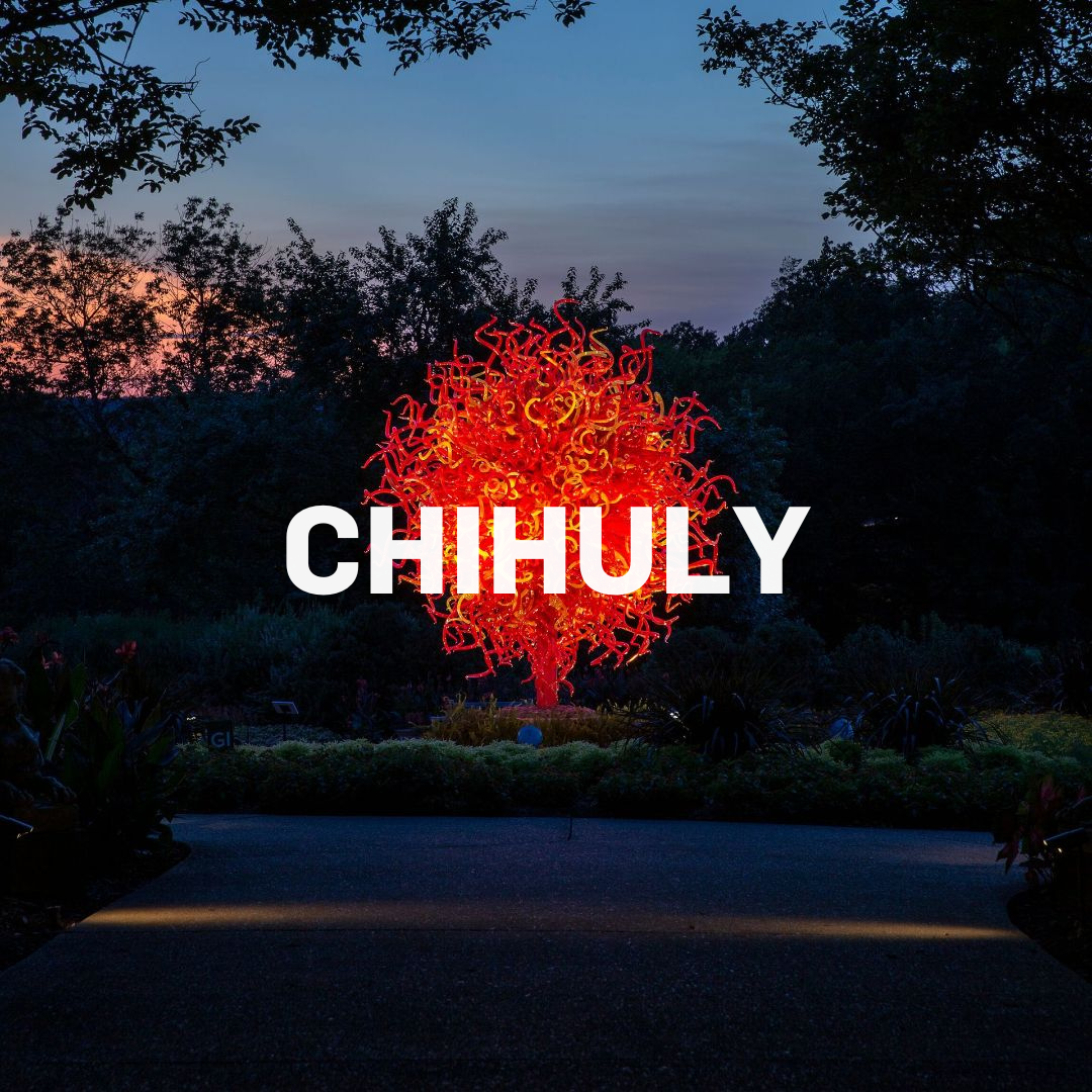 A chihuly logo with a tree in the background