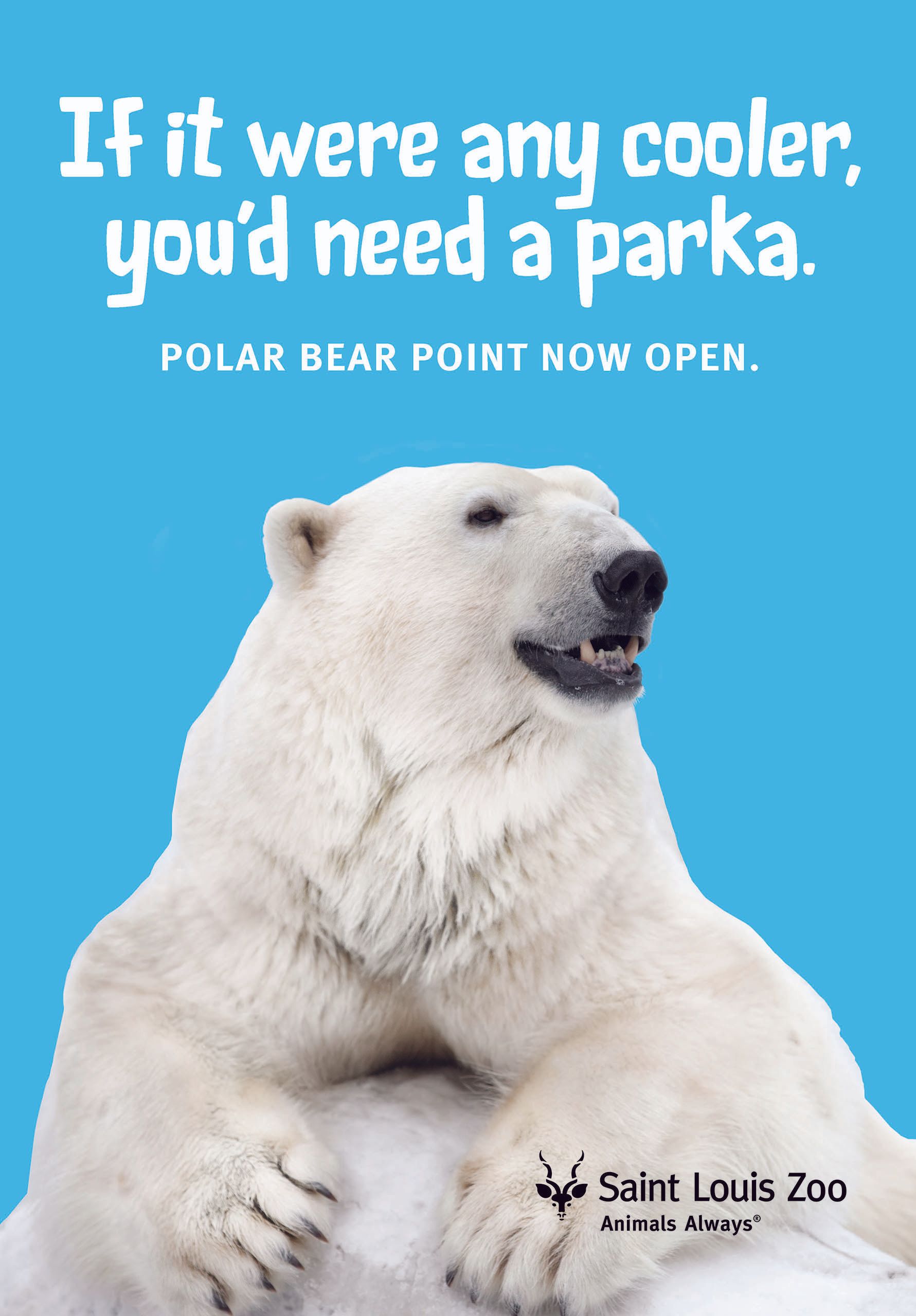 An advertisement for a polar bear point at the saint louis zoo