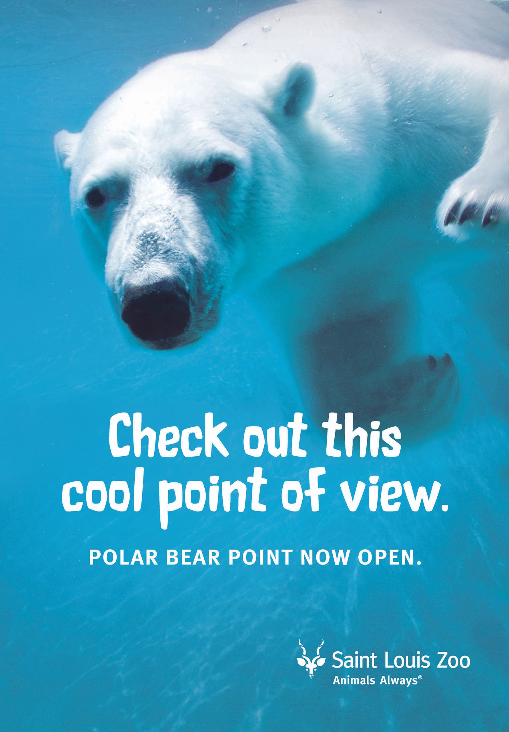 An advertisement for polar bear point at the saint louis zoo