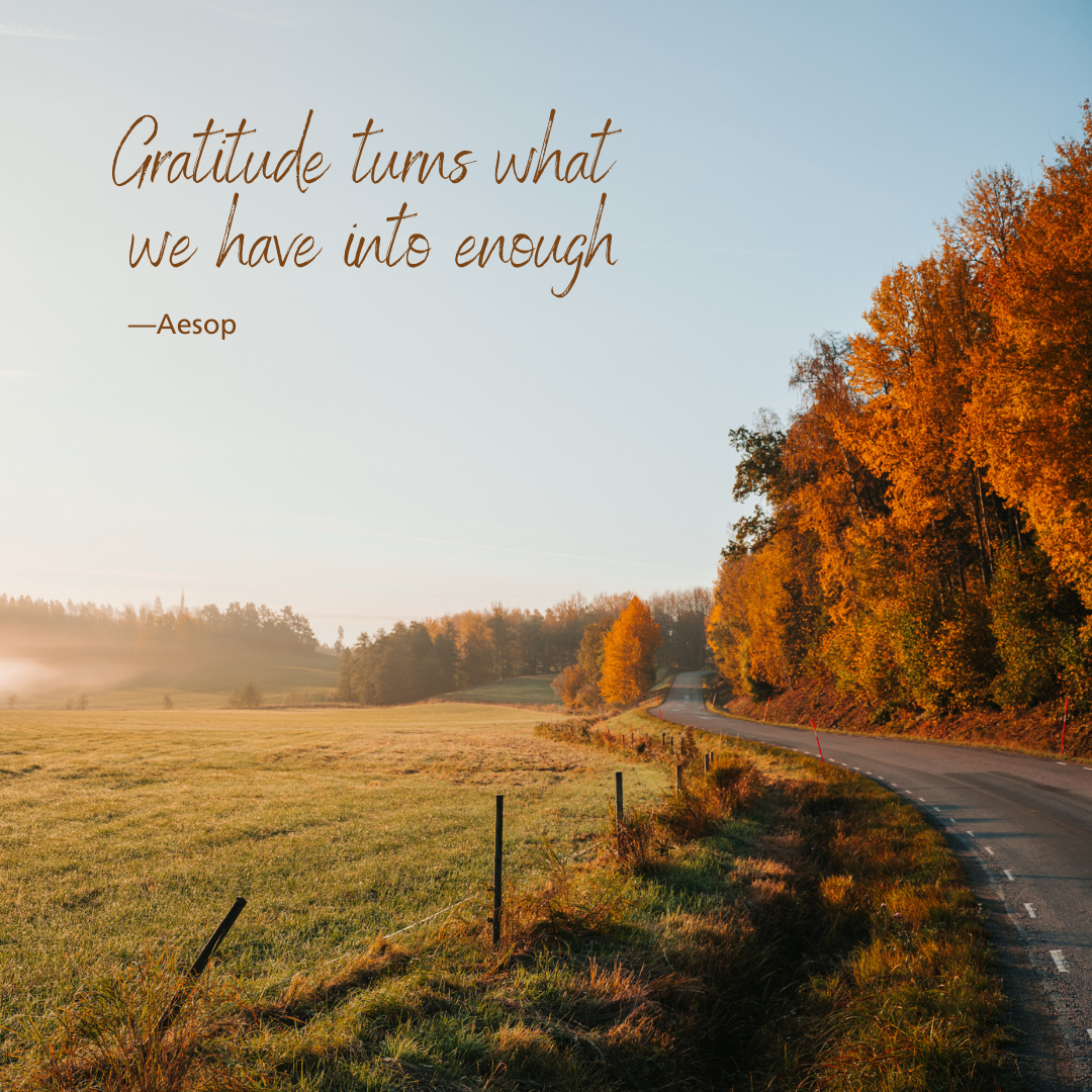 A road going through a field with a quote that says gratitude turns what we have into enough