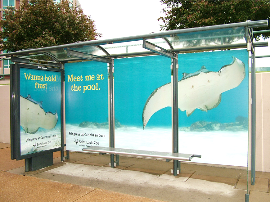 A bus stop with an ad for the Saint Louis Zoo that says meet me at the pool