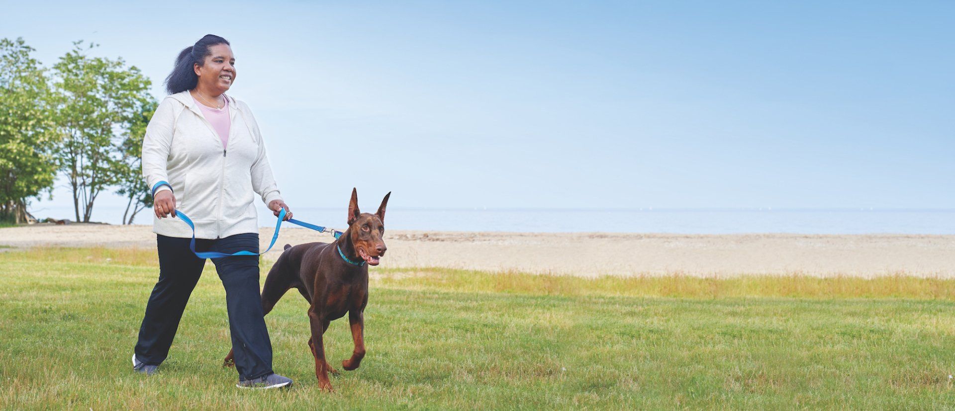 A woman is walking a dog on a leash in a field.