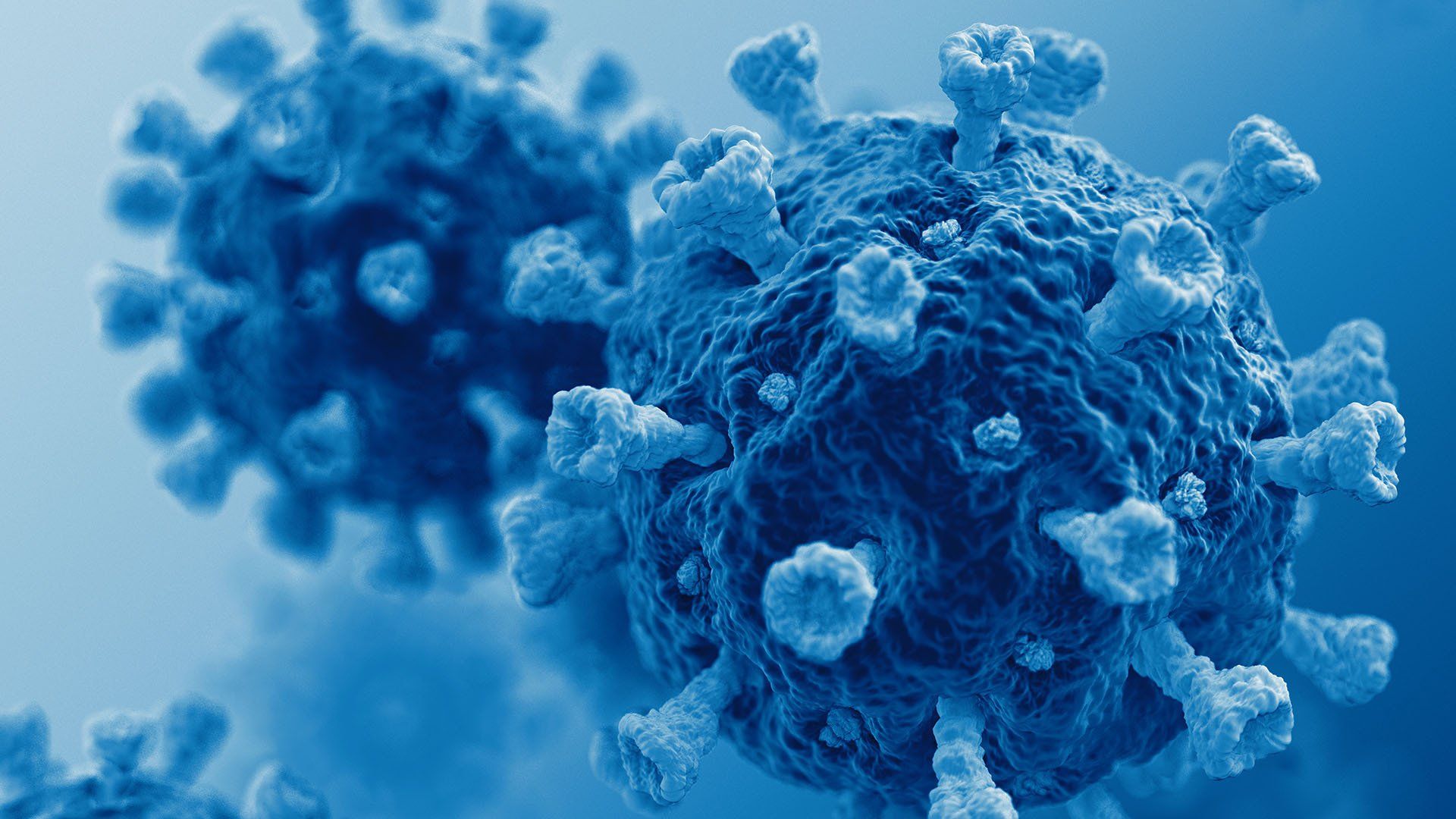 A close up of a blue virus on a blue background.