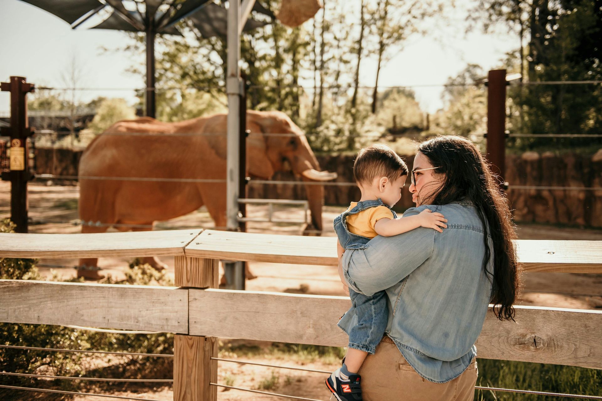 Mom and young soon look at an elephant at a Zoo or other attraction.