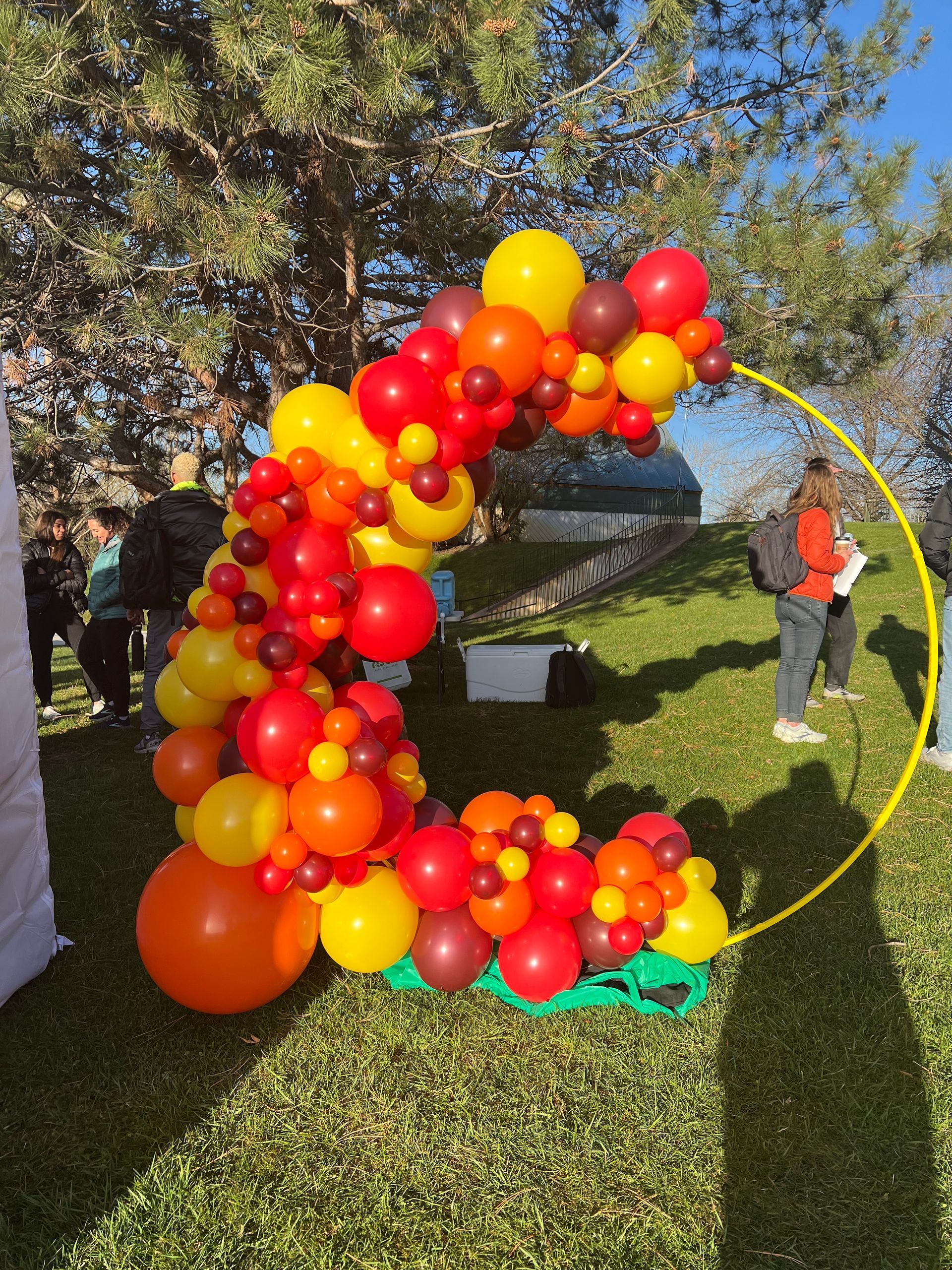 A bunch of balloons are sitting in the grass in a park.