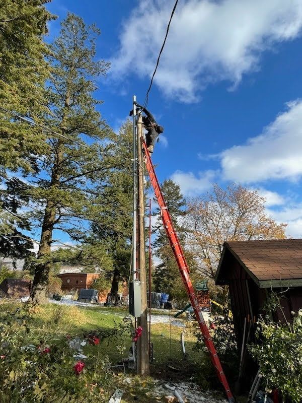 A man is standing on a ladder attached to a power pole.