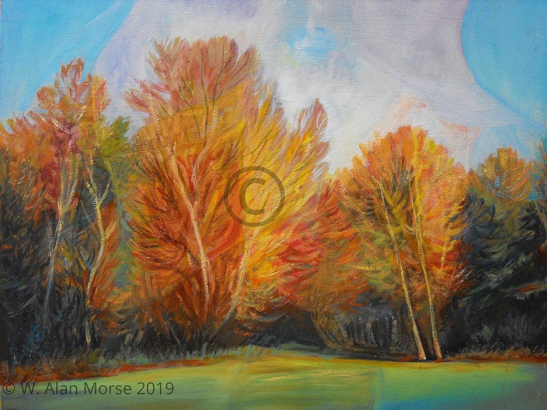 Vermont Autumn Maple Trees Dance and Delight