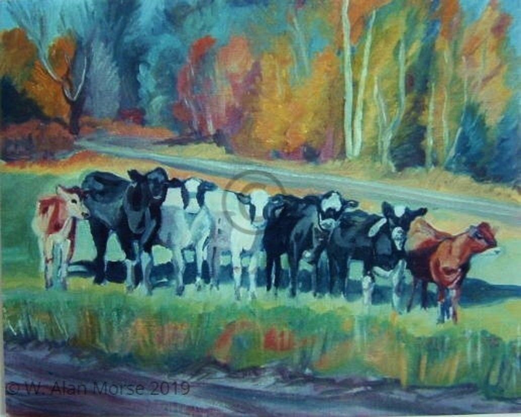A revealing figural cow painting of a group of cows in a portrait perspective style.