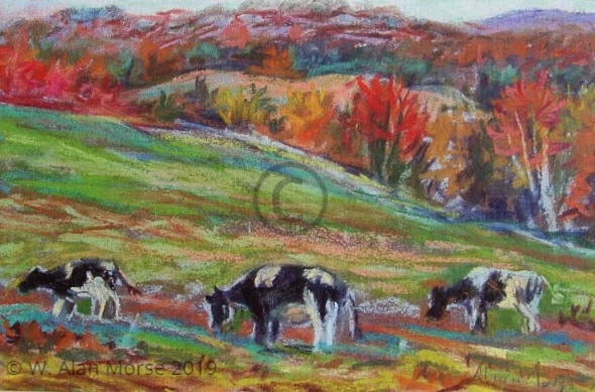 Impressionism style pastel painting by fine artist W. Alan Morse of Holstein Cows.