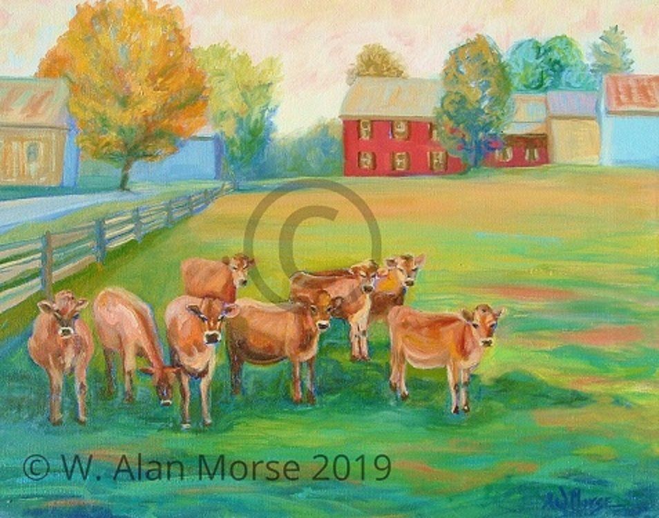 Multiple baby Jersey cow landscape painting by Vermont Artist W. Alan Morse