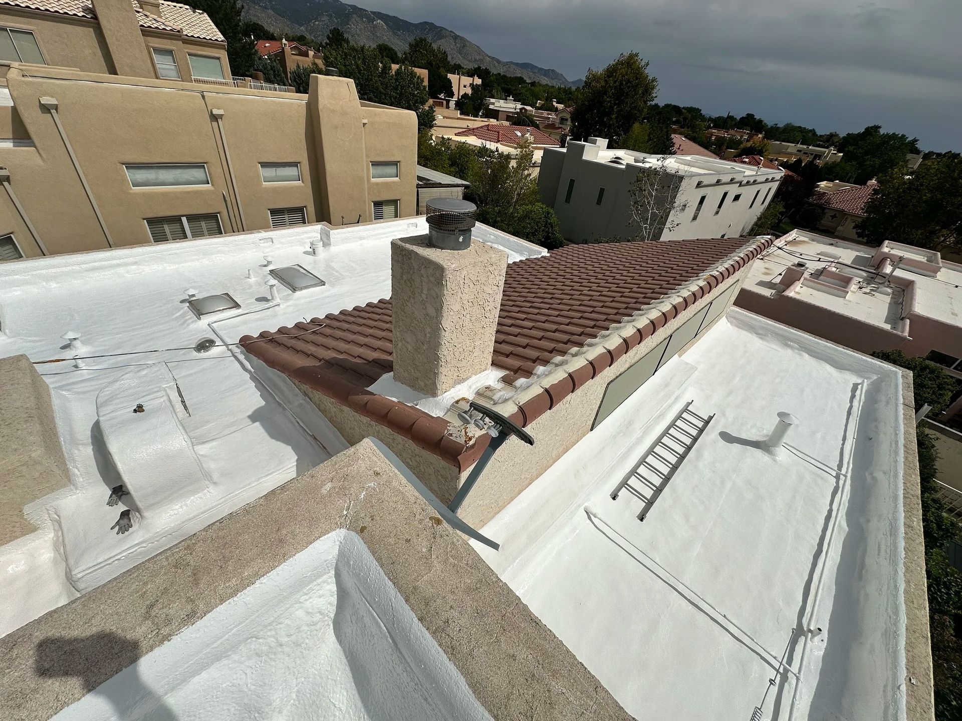 Overhead view of rooftops, including a tiled roof section and a flat, white-coated roof with a ladder.