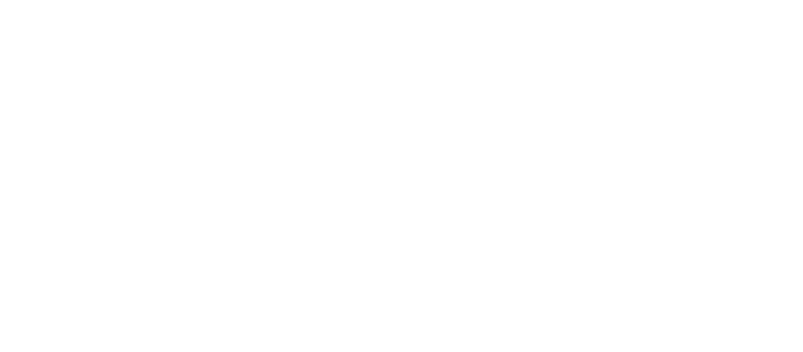Financial Policy