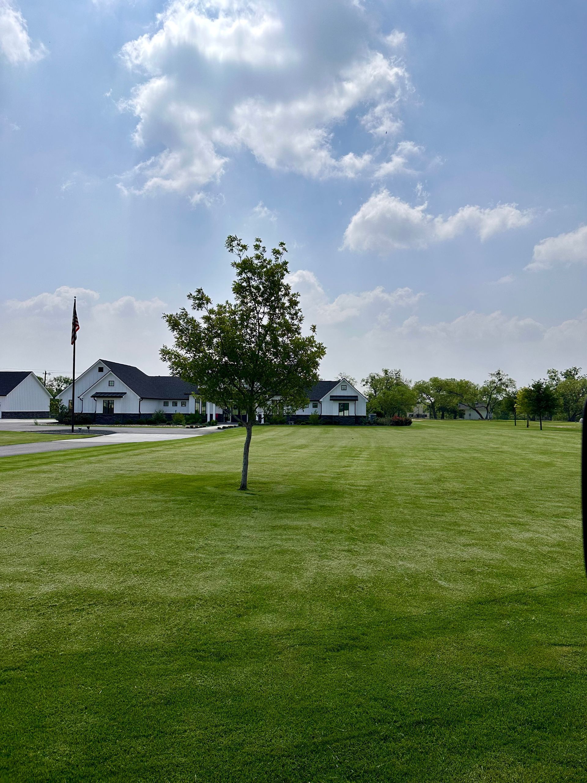 A grassy field with a small tree in the center. White buildings and a cloudy sky in the background.
