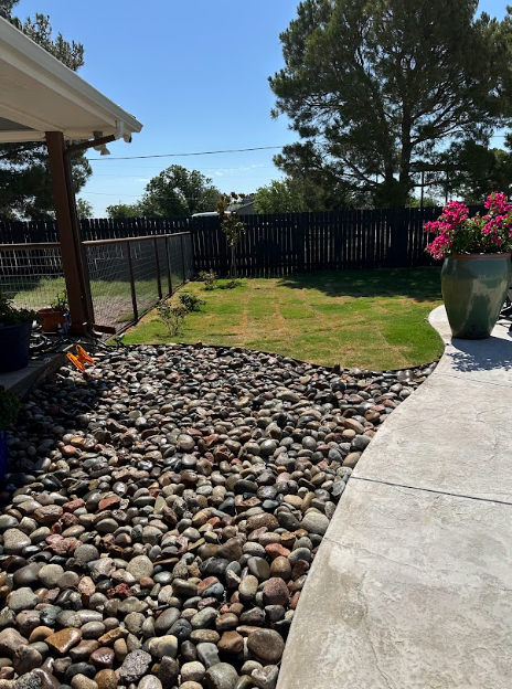 A backyard with a rock bed, lawn, and patio.  A fence, tree and potted flowers are visible under a blue sky.