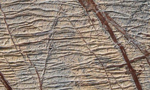 Marmuras: Rain Forest Yellow