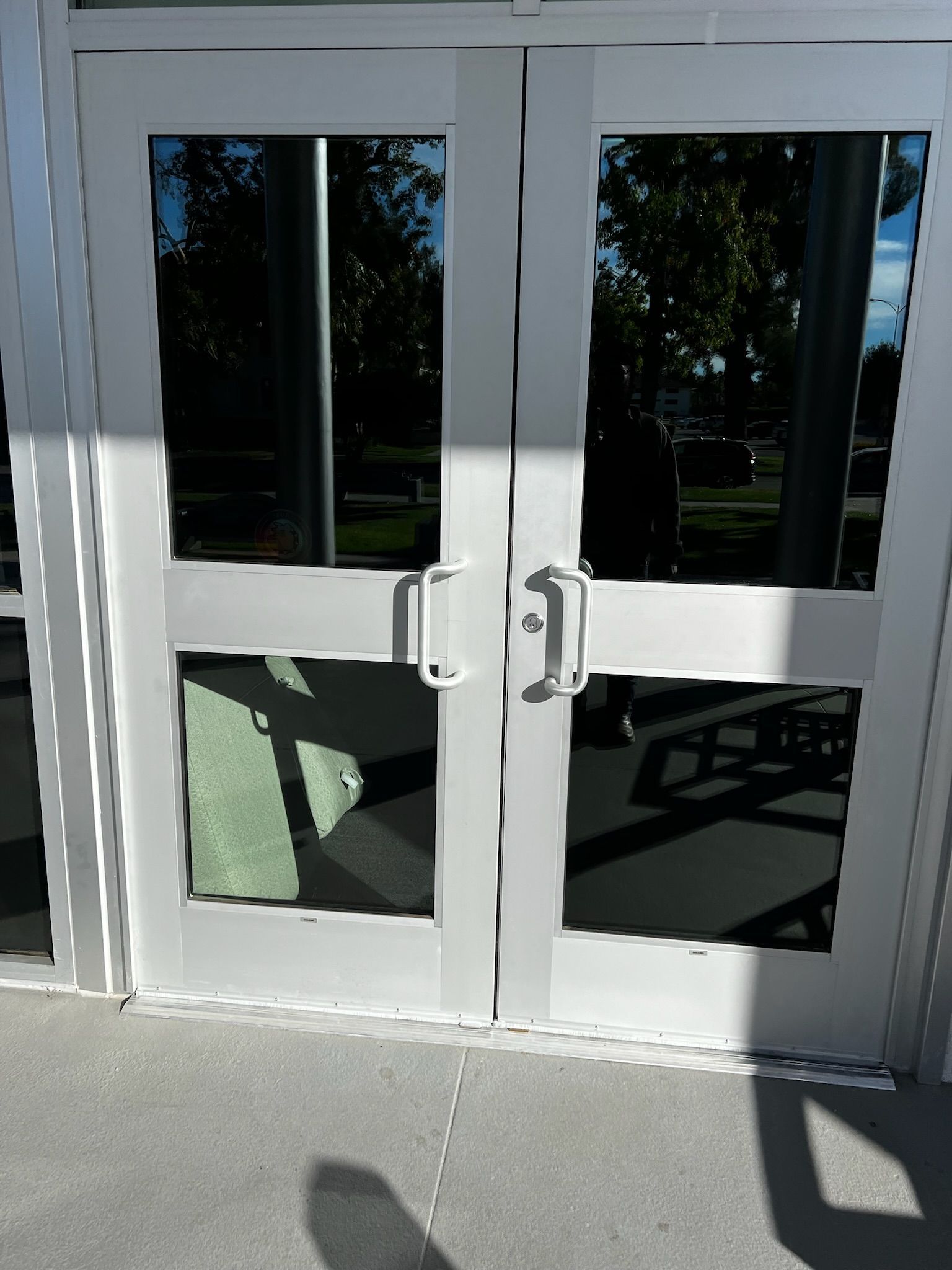 Double doors with glass panes and silver handles; the doors are reflecting a sunny outdoor scene.