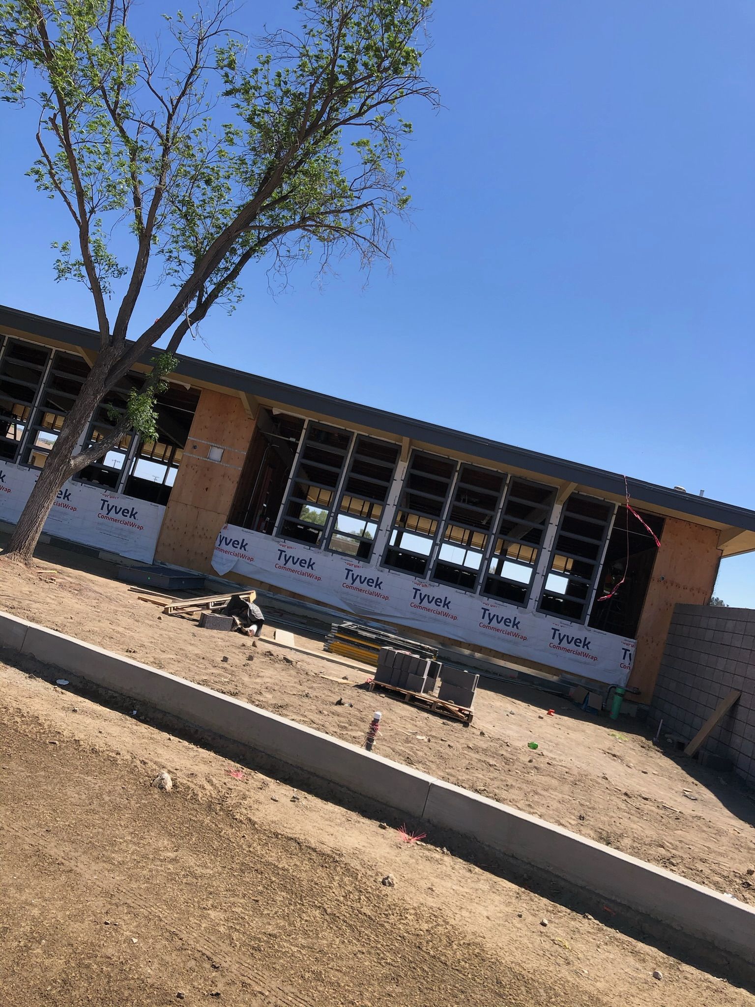 Building under construction with large windows and a tree on a sunny day.