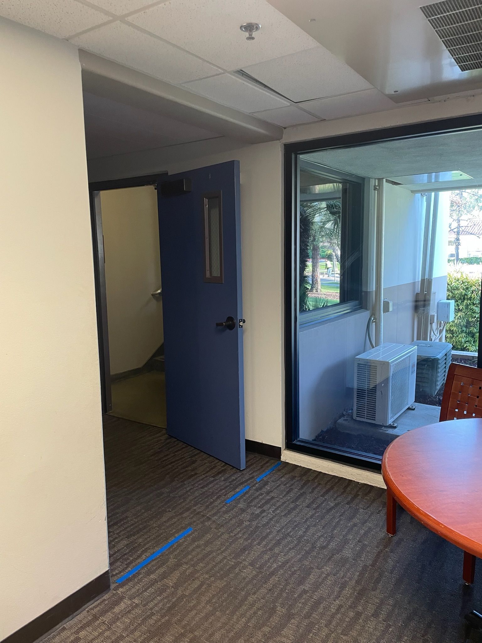 Hallway with blue door and glass window, leading to a patio.