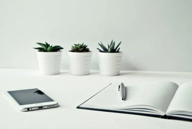 Digital marketing planning and SEO workspace with smartphone, planner and pen, and three potted succulents